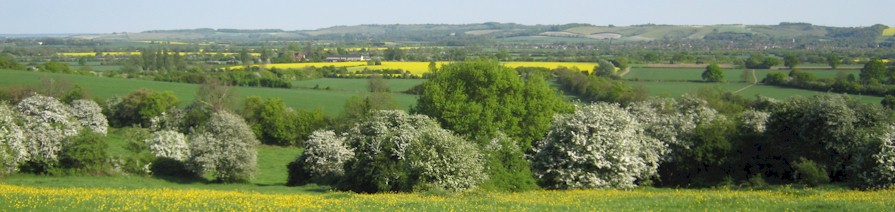 Rushymeade and view of Pegsden Hills