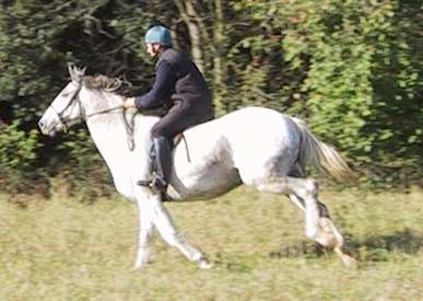 Claude and David cantering at Thrift Wood, Bedfordshire