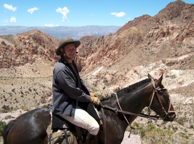 Argentine Army horse in the Andes near La Palenquera