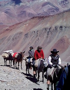 Riders, horses and mules in the High Andes