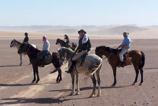 At the end of the gallop in the desert