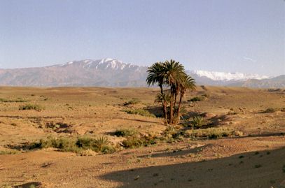 High Atlas Mountains from the desert oasis
