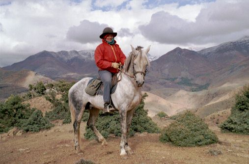 Nassim - 15.3hh Berber/Arab stallion in the High Atlas Mountains, Morocco