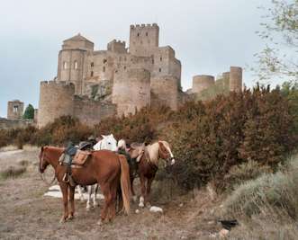 Moorish Castles on the Aragon Trail, Spain